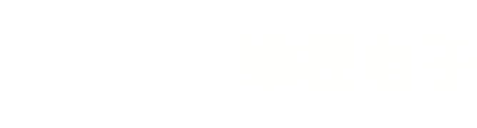 维视电子/veise